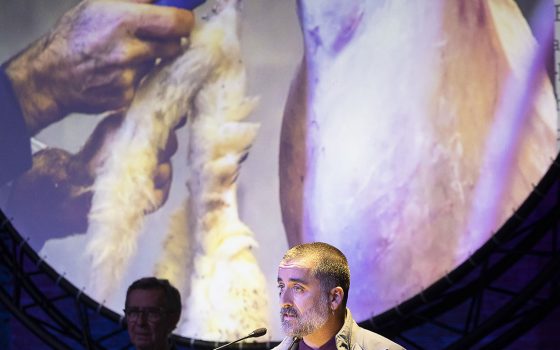 24a Nit de les Revistes i la Premsa en Català a l'Aliança del Poblenou.06.11.2024, Barcelonafoto: Jordi Play